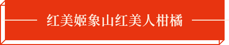 公司名稱(chēng)